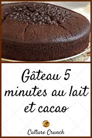 Gateau 5 Minutes Au Lait Et Au Cacao La Recette Facile En 2020 Recette Recette Dessert Recette Facile