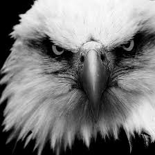 John oliver dupes news programs into airing segment on fake sexual enhancement product. Http Videostream Dn Ua Videopage Vide Mia Zwh Paok 1926 Facebook