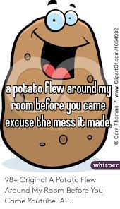 A potato flew around my room is a vine meme that became popular in late 2014. 25 Best Memes About A Tornado Flew Around My Room Before You Came A Tornado Flew Around My Room Before You Came Memes