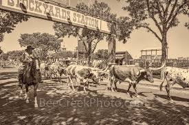 Maybe you would like to learn more about one of these? Fort Worth Cattle Drive Antique Bee Creek Photography Landscape Skyline Aerial Images And Prints From Texas