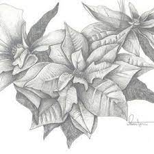 Christmas Poinsettia By Kristen Stevenson December Flower Tattoo Birth Flower Tattoos Flower Tattoo Drawings