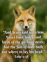 Jesus Birds Of The Air Luke 9 58 Kjv And Jesus Said Unto Him Foxes Have Holes And Birds Of The Air Have Nests But The Son Of Man Hath N Jesus Quotes Bible Psalms The Son