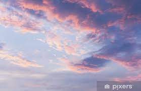 Reposts of images on the front page, or within the set limit of /r/pics/top, will be removed. Pink Clouds On Blue Sunset Sky Wall Mural Pixers We Live To Change In 2021 Sky Aesthetic Sunset Sky Blue Sunset