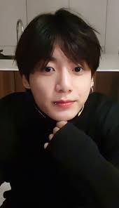 Laila Chen (lailachen1214)