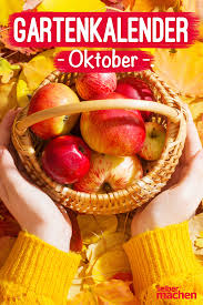 Der Garten Im Oktober Das Musst Du Tun In 2020 Winterfest Machen Garten Gartenkalender