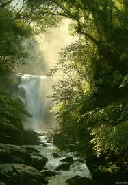Nature wallpaper full hd gif. 480 Nature Gifs Ideas Nature Scenery Beautiful Nature
