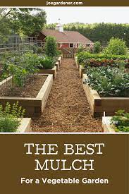 Best Mulch For A Vegetable Garden Vegetable Garden Raised Beds Mulch For Vegetable Garden Garden Mulch