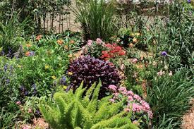 You may also want to cover the plants if frost is predicted. 12 Plants That Thrive In The Sun How To Make A Beautiful South Florida Flowerbed Dengarden