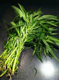 Well you're in luck, because here they come. Water Morning Glory As A Thai Food Ingredient