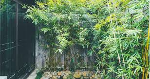 See 10 garden ideas to steal from denmark. Bamboo Landscaping Ideas Bamboo Garden Kerala Facebook