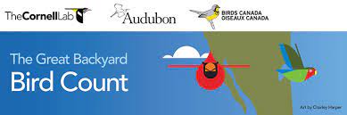 Be it dining, grilling, lounging, playing and otherwise living, it's. Counting Is Caring Be A Part Of The Great Backyard Bird Count Birds Canada Oiseaux Canada