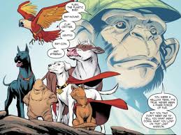 Discussion] Who is your favorite superhero pet? : rDCcomics