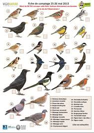 Asnieres Sur Vegre Trame Verte Oiseaux Des Jardins Oiseaux Oiseaux Migrateurs