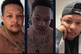 What You Need to Know About Sam Nordquist -