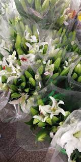 One local's guide to his favorite neighborhood in kuala lumpur. Alialisakreatif By Kolin Zainal Borong Bunga Segar Di Petaling Street