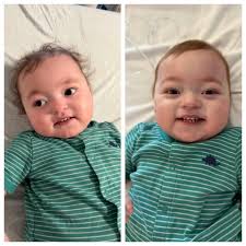 UPDATE: Found SAFE ❤️❤️❤️ Please help find Newton Co Sheriff K9 Petra! “🚨  MISSING K-9 ALERT 🚨 K-9 Petra escaped her kennel at her handler's house