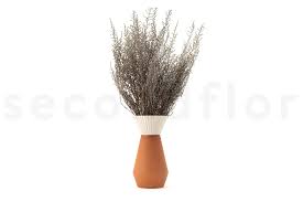 Image result for Stoebe