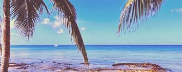 Cozumel Water Temperature Today — Scuba Dive Cozumel : Blue Note Scuba