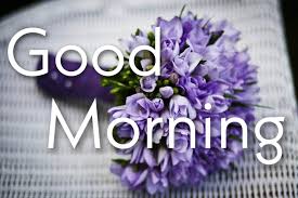 Dec 31, 2018 · 100+ best gud morning images hd download free (2021) by. Good Morning Flower Images Free Download For Whatsapp Morningming Com