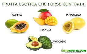 Ci sono frutti gialli, verdi, rossi, arancioni e marroni, attirano tutti l'attenzione sul banco frigo. Frutta Esotica La Guida Completa Nomi E Proprieta Ortofrutta Com