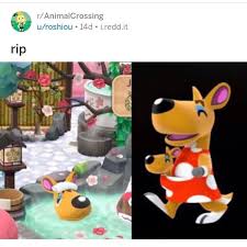 Pin On Animal Crossing
