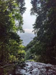 The taman eko rimba kanching waterfall travels down seven distinct tiers, all with specific distances up the hill. View From The Top Of Taman Eko Rimba Kanching Templer S Waterfall Selangor Malaysia Hiking