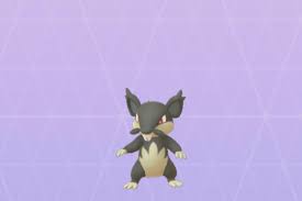 Maybe you would like to learn more about one of these? Is Alolan Rattata Shiny In Pokemon Go Polygon