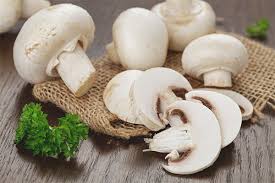 Check spelling or type a new query. Puo Una Gravidanza Mangiare Funghi Prataioli