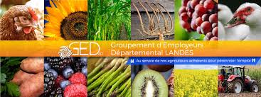 Et mac do (pour y avoir travaillé 1an et demi) c'est tout sauf agréable ! Groupement D Employeurs Departemental Landes Publications Facebook