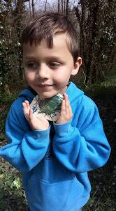 Hiding First Happiness Rock in Weedsport, NY