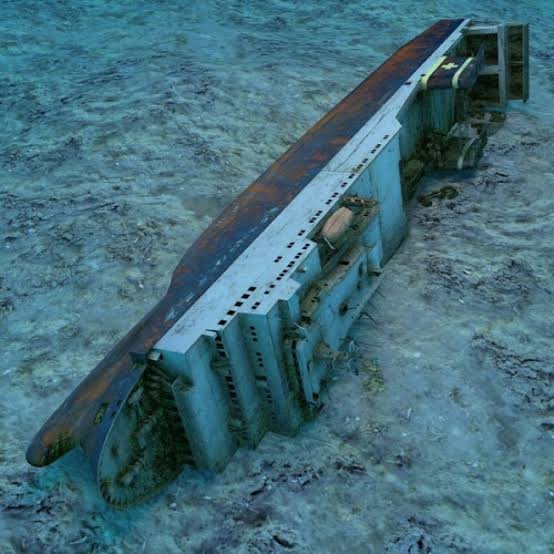 Zenobia Wreck Diving Site - All You SHOULD Know Before Going (2026 Reviews)