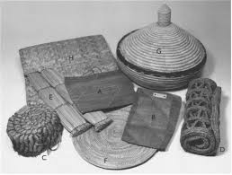 Image result for Hypolytrum heteromorphum