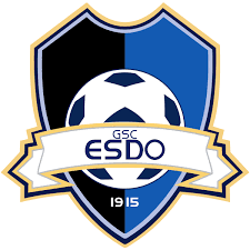 Please enter your email address receive daily logo's in your email! Ado Den Haag Fc Logo Download Logo Icon Png Svg