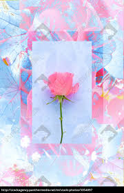 Nur fotos, vektoren oder psd anzeigen. Schoner Hintergrund Mit Rosa Rose Stockfoto 5354097 Bildagentur Panthermedia