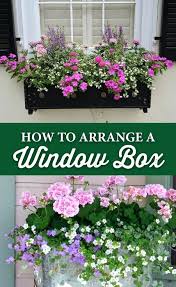 Fuchsias are most commonly used in hanging baskets, but they are equally lovely in a window box. Image Result For Best Flowers For Full Sun Window Boxes Window Box Flowers Window Box Plants Gorgeous Window Boxes