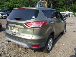 Image result for Ginger Ale 2013 Escape