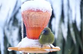 Snow And Ice Bring Disruption Otago Daily Times Online News