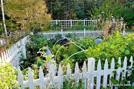 Cool Beautiful Vegetable Garden Fence Garden Engaging Small Vegetable Garden And Whi Fenced Vegetable Garden Backyard Vegetable Gardens Vegetable Garden Design