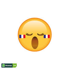 What does the emoji france flag tennis ball trophy cup emoji mean in emoji quiz game ? Erstauntes Emoji Mit Erschrockenem Mund Und Frankreich Flaggen Makeup Whatsapp Sim Smiley Creator