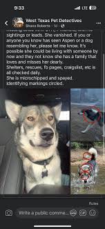 West Texas Pet Detectives