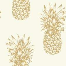 $17, 5 hours and above $20. Rose Gold Pineapple Wallpapers Top Free Rose Gold Pineapple Backgrounds Wallpaperaccess