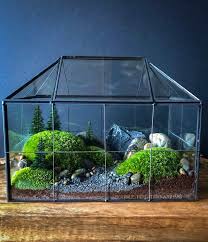 Geometric Glass House Terrarium With Mossy Woodland Garden Etsy Garden Terrarium Terrarium Plants Terrarium