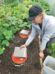 We did not find results for: Diy Build An Underground Worm Farm Suitable For A Cold Climate