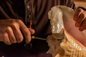 Maybe you would like to learn more about one of these? Archaic Roots Making A Conch Shell Trumpet