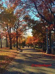 Autumn Juniper Park Middle Village Queens Nyc Queens Nyc New York City Favorite Places