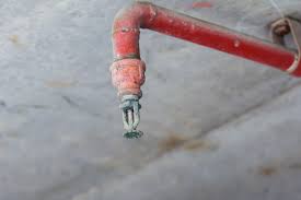 Choosing the right sprinkler head for your irrigation needs takes time and effort. Knowing When To Replace Fire Sprinkler Heads Spectrum Fire Protection Blog