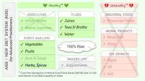 Part 14 New Diet System By Shri B V Chouhan
