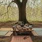 Outdoor Tea Ceremony — Cambium event image