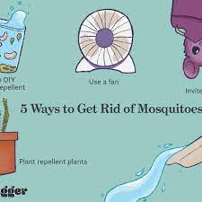 Use this simple but effective mozzy watch to get rid of mosquitoes quickly How To Get Rid Of Mosquitoes Naturally And Reclaim Your Backyard