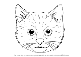 Draw the neck of the cat. How To Draw A Cat Face And Silhouette With Easy Step By Step Tutorials